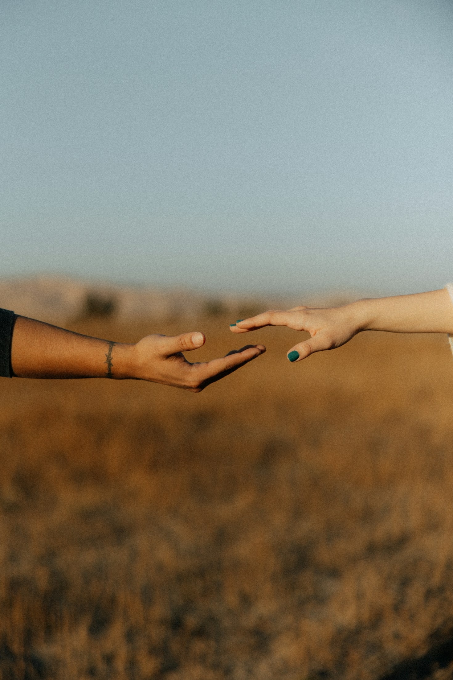 How Food Fight Brings Communities Together